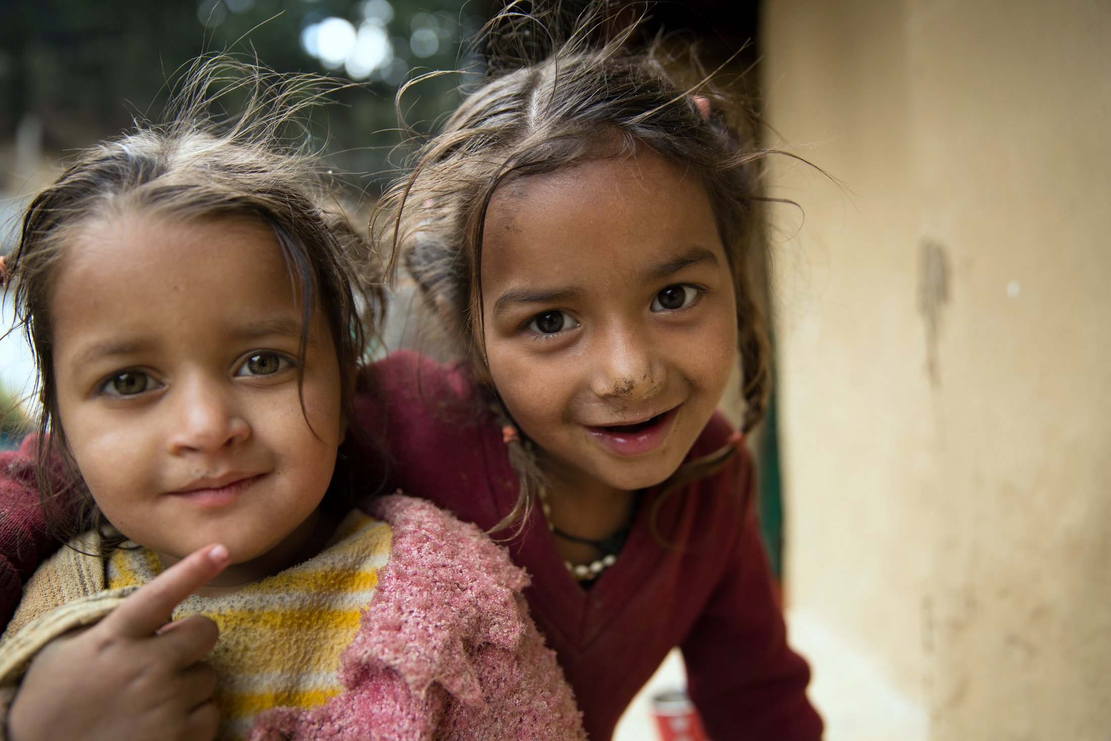 Two friends. â€” Himachal Pradesh Â· Nov 2015