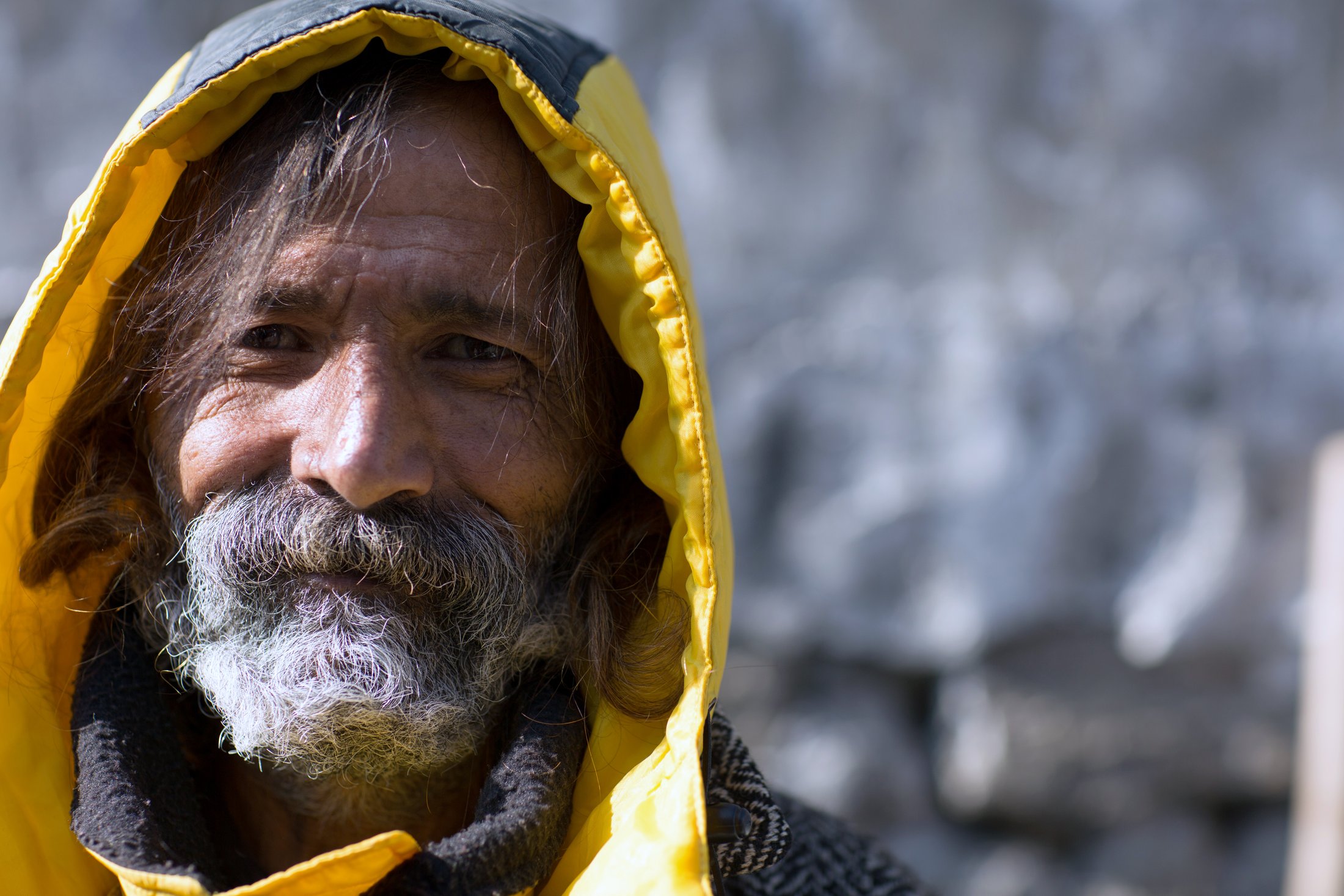 Rambo â€” a rare portrait of the Dalhousie legend. â€” Chamba, Himachal Pradesh Â· Nov 2015