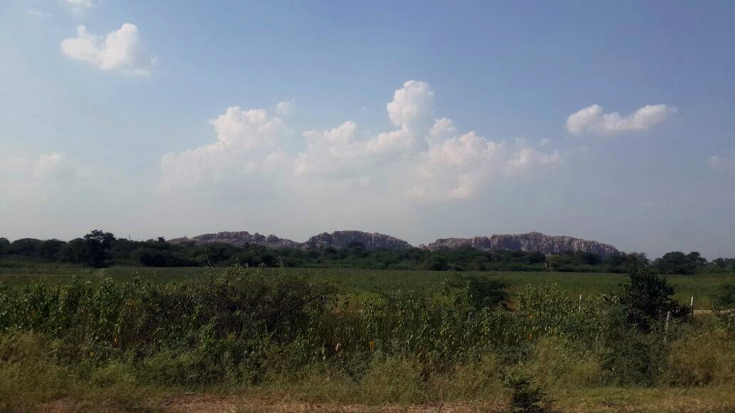 Boulders and fields.