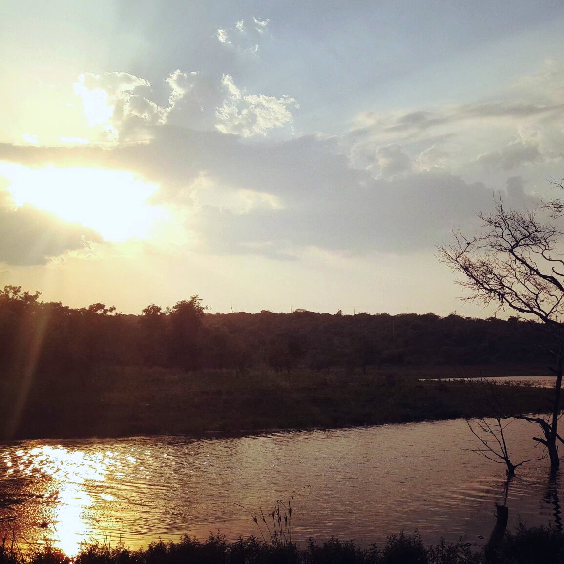 Stillness at sundown.